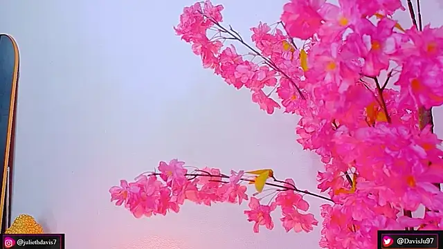 JulietaDavis online show from May 2026 09:37:02 AM
