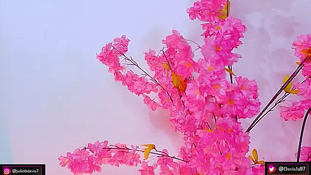 JulietaDavis online show from May 2026 09:39:02 AM