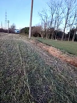 Prince-sexy online show from January 2026 03:05:02 PM