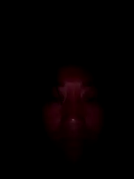 Zhan99999 online show from October 2025 11:21:02 AM