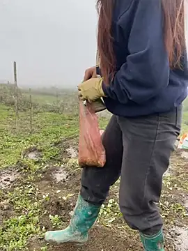 isaaa5 online show from March 2026 02:38:02 AM