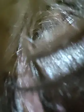 anne smithe online show from March 2026 11:46:02 AM