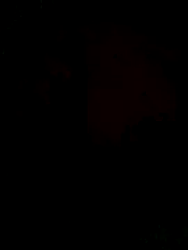 Snapshot of Ori-Lynk chatting on December 2025 06:29:02 AM Ori-Lynk online show from December 2025 06:29:02 AM