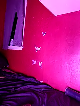 Cnutt310 online show from October 2025 08:55:02 AM