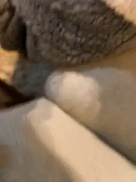 boy8540 online show from January 2026 05:44:01 AM