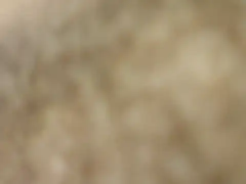 boy8540 online show from March 2026 07:47:01 AM