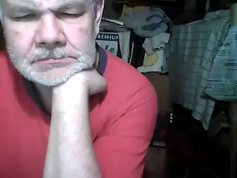 Snapshot of A1B3- chatting on December 2025 06:31:01 AM A1B3- online show from December 2025 06:31:01 AM
