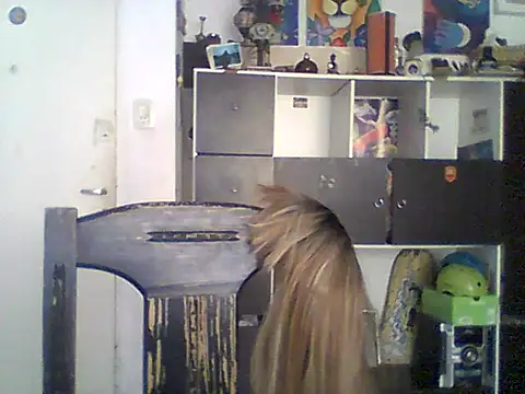 Bebita-zmp online show from May 2026 04:03:01 PM