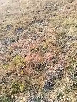 Snapshot of coocon2020 chatting on November 2025 02:39:02 AM coocon2020 online show from November 2025 02:39:02 AM