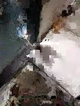Wet BunnyFun online show from May 2026 11:49:01 AM