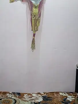 sneha bebo online show from February 2026 03:56:02 PM