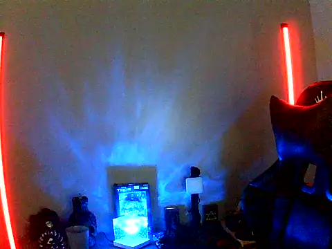 Snapshot of perversus12 chatting on December 2025 07:00:01 PM perversus12 online show from December 2025 07:00:01 PM