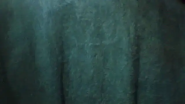 pietje1991 online show from February 2026 03:46:01 PM