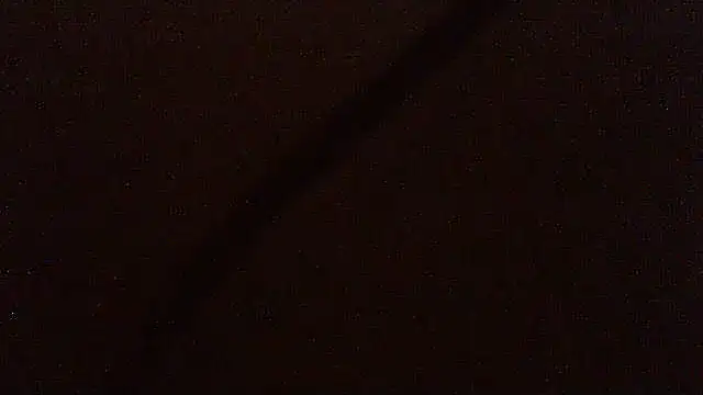 pietje1991 online show from April 2026 12:06:01 AM