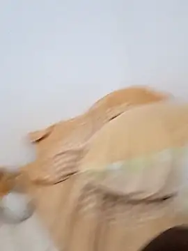 Snapshot of Blackpanther0115 chatting on October 2025 10:34:02 AM Blackpanther0115 online show from October 2025 10:34:02 AM