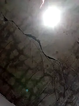 ta56vn online show from February 2026 09:59:02 AM