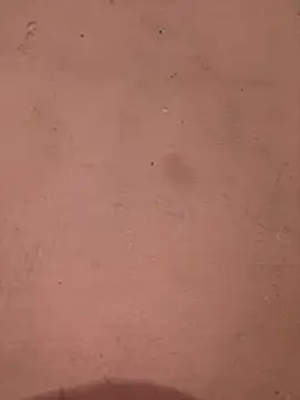 sakshi5533 online show from November 2025 07:27:01 PM