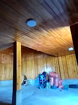 Tiyir597 online show from December 2025 03:55:01 AM