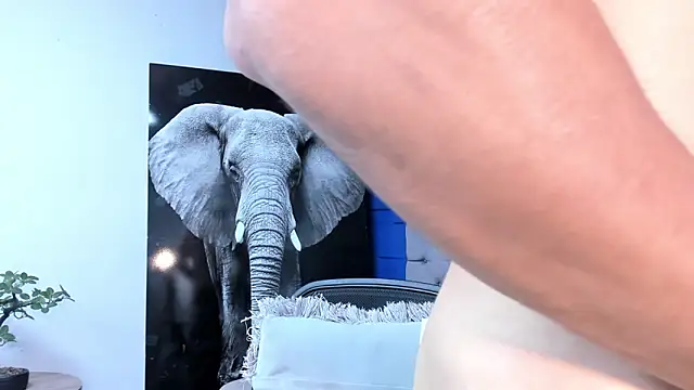 andres-clark92 online show from September 2025 05:03:01 PM