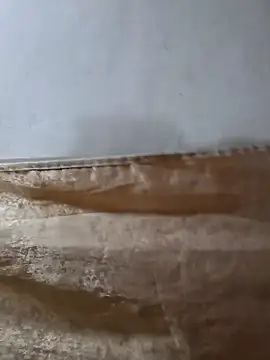 darryl hugecok online show from March 2026 07:14:02 AM