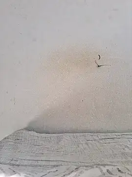 Snapshot of jujuhpimenta chatting on November 2025 11:21:01 AM jujuhpimenta online show from November 2025 11:21:01 AM