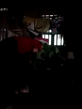 phlin1 online show from July 2026 10:44:01 AM