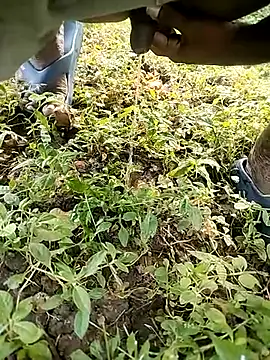 BlackhorseBBC online show from October 2025 02:01:02 AM