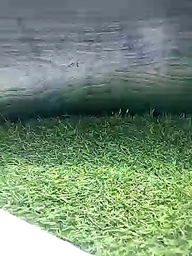 BlackhorseBBC online show from March 2026 06:52:02 AM