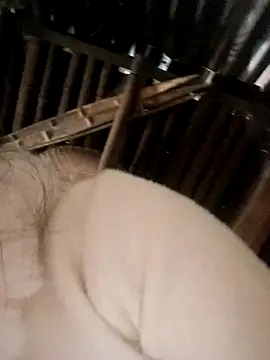 Bianly online show from November 2025 02:31:02 AM