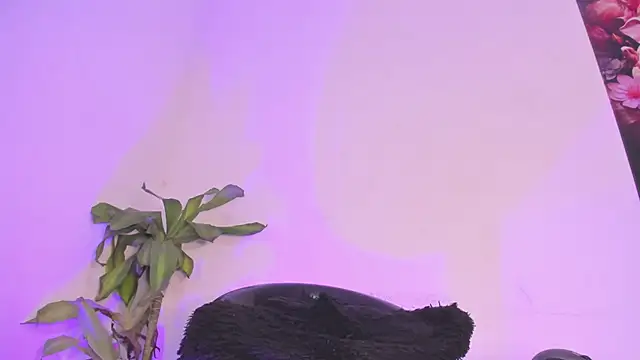 Lucy shen  online show from January 2026 12:01:02 AM