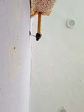 Snapshot of funcreat chatting on September 2025 11:54:02 AM funcreat online show from September 2025 11:54:02 AM