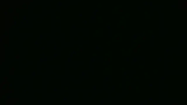 Snapshot of ch0wn_m chatting on September 2025 01:13:01 PM ch0wn m online show from September 2025 01:13:01 PM