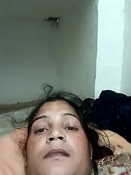 Chhaya hot online show from February 2026 04:03:02 PM