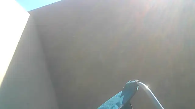 cuminsidebby online show from June 2026 07:54:02 AM