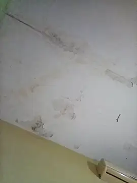 Snapshot of cometa267 chatting on October 2025 05:58:02 PM cometa267 online show from October 2025 05:58:02 PM