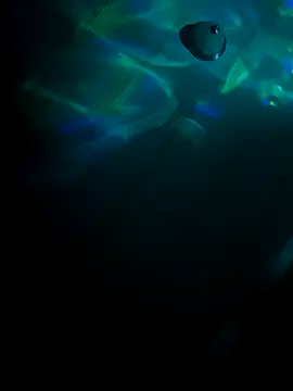 tyrek5051 online show from October 2025 07:20:01 AM