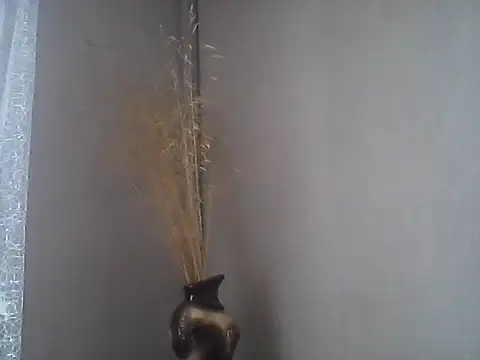 Littlecatme online show from July 2026 07:32:02 AM