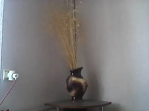 Littlecatme online show from July 2026 07:04:01 AM