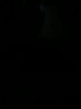 Reeelo online show from November 2025 03:06:02 AM