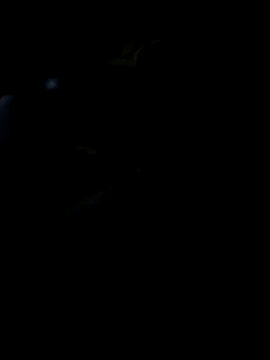 Reeelo online show from November 2025 05:57:01 PM