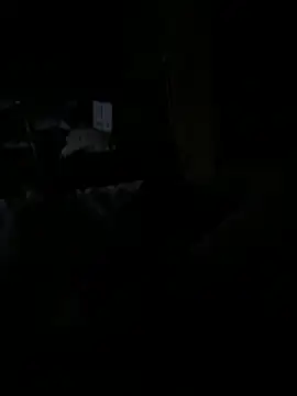 Reeelo online show from December 2025 04:06:02 AM