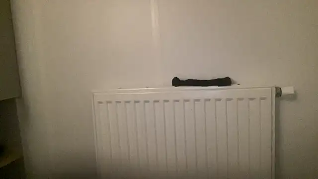 Snapshot of peterpapiNL chatting on January 2026 04:34:01 PM peterpapiNL online show from January 2026 04:34:01 PM