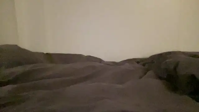 Snapshot of peterpapiNL chatting on January 2026 01:31:01 AM peterpapiNL online show from January 2026 01:31:01 AM