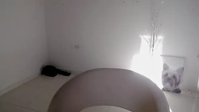 Stein  online show from September 2025 12:52:01 PM