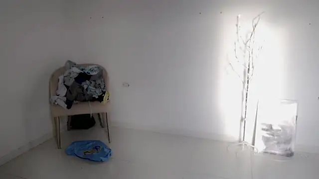 Stein  online show from September 2025 11:58:01 AM