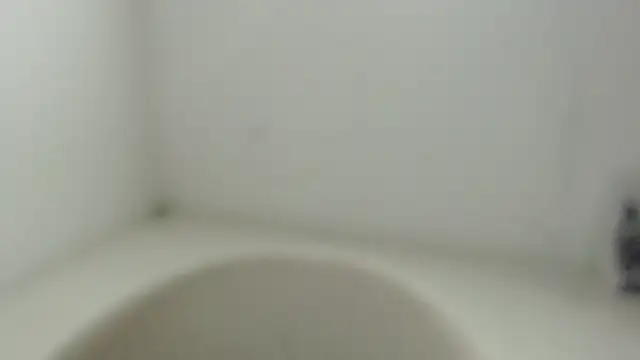 Stein  online show from September 2025 12:10:02 PM