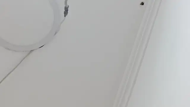 Atley Dolly online show from September 2025 09:38:01 PM