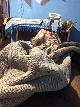 Snapshot of m11a2f3a4z5 chatting on March 2026 12:52:02 PM m11a2f3a4z5 online show from March 2026 12:52:02 PM