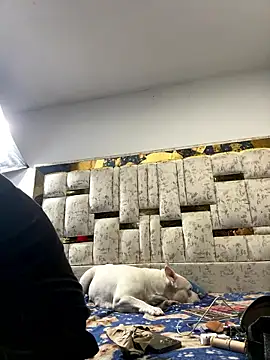 Snapshot of DayanaDG chatting on January 2026 05:54:02 AM DayanaDG online show from January 2026 05:54:02 AM