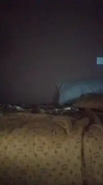 Snapshot of wanderboy1000 chatting on January 2026 09:31:01 PM wanderboy1000 online show from January 2026 09:31:01 PM